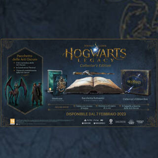 Hogwarts Legacy Collector's edition ps4 | Asta online sicura e affidabile su Baazr